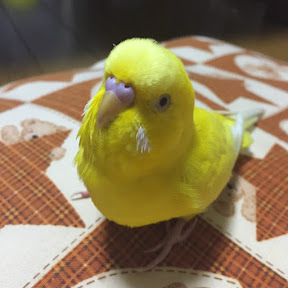 ひま様